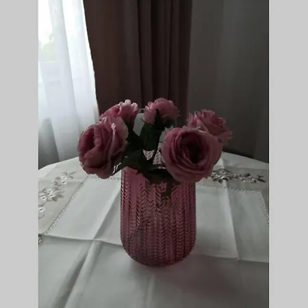 Apartament Mamaia, Zona Vega, Vedere Mare Si Lac * Mamaia